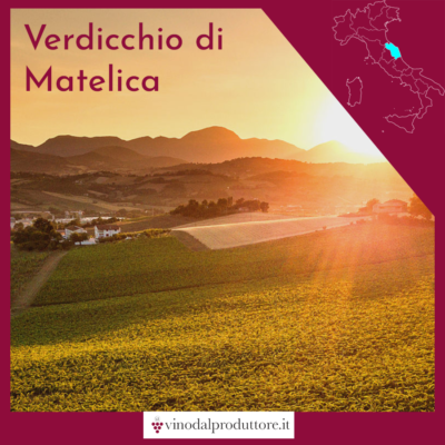 Verdicchio di Matelica