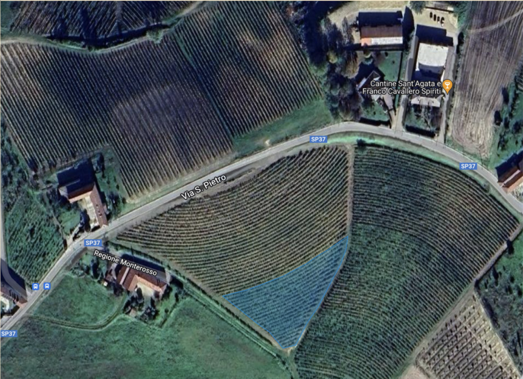 Vigneto Bricco Basso