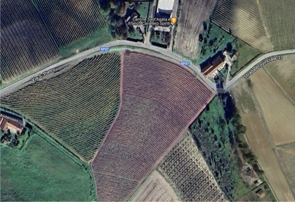 Vigneto-il-Cavaliere-Ruche