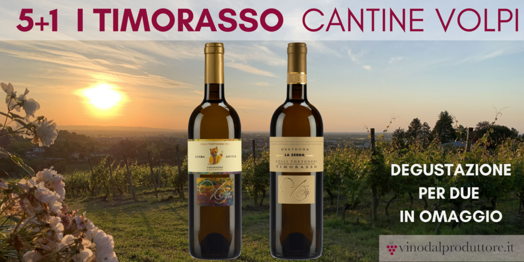 5+1 Timorasso Volpi + degustazione