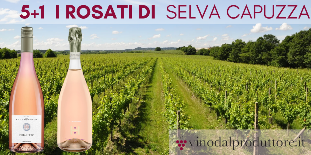 5+1 di Vinodalproduttore.it, dipingi di Rosa il tuo ritorno dalle vacanze con i freschi Rosati del Garda di Selva Capuzza