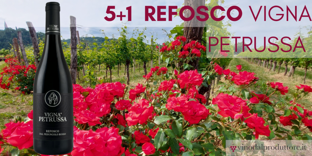 5+1 Refosco Vigna Petrussa