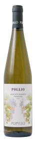 Pollio Pupillo