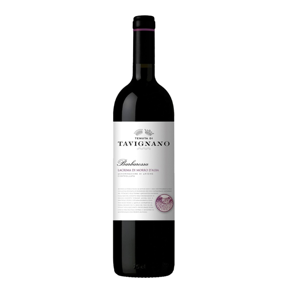 Barbarossa 2018 - Lacrima di Morro d'Alba DOC - Tenuta di Tavignano