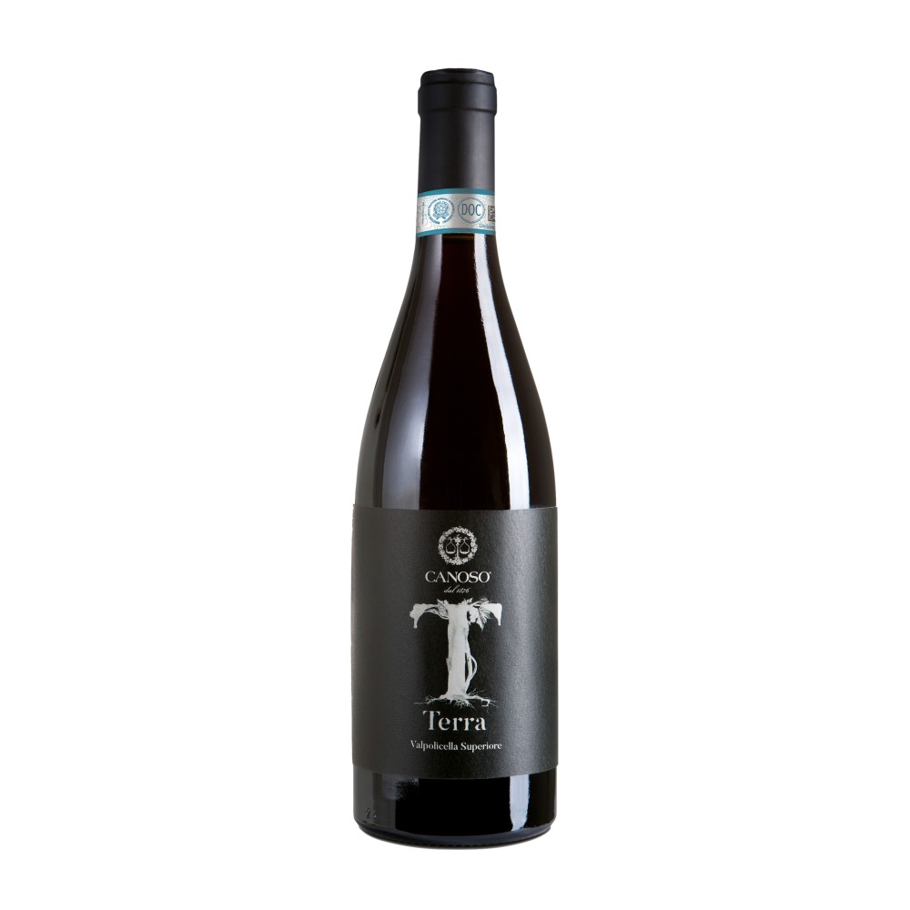 Terra 2017 Magnum 1,5 L - Valpolicella superiore DOC - Canoso Vini